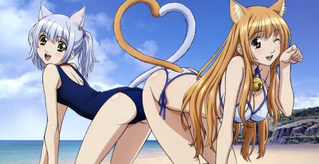สปอยตอนจบอนิเมะ Asobi ni Iku yo! เป็นเรื่องเล่า